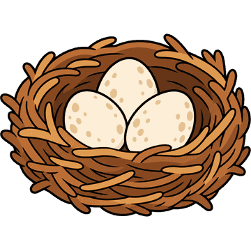 nest